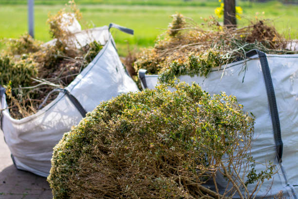 Best Construction Debris Removal  in Beaverton, MI