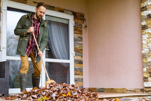 Best Junk Hauling Services  in Beaverton, MI